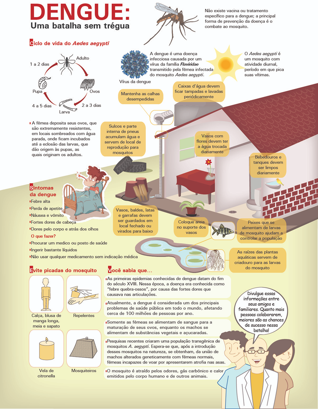 Exemplo de infográfico estático 1