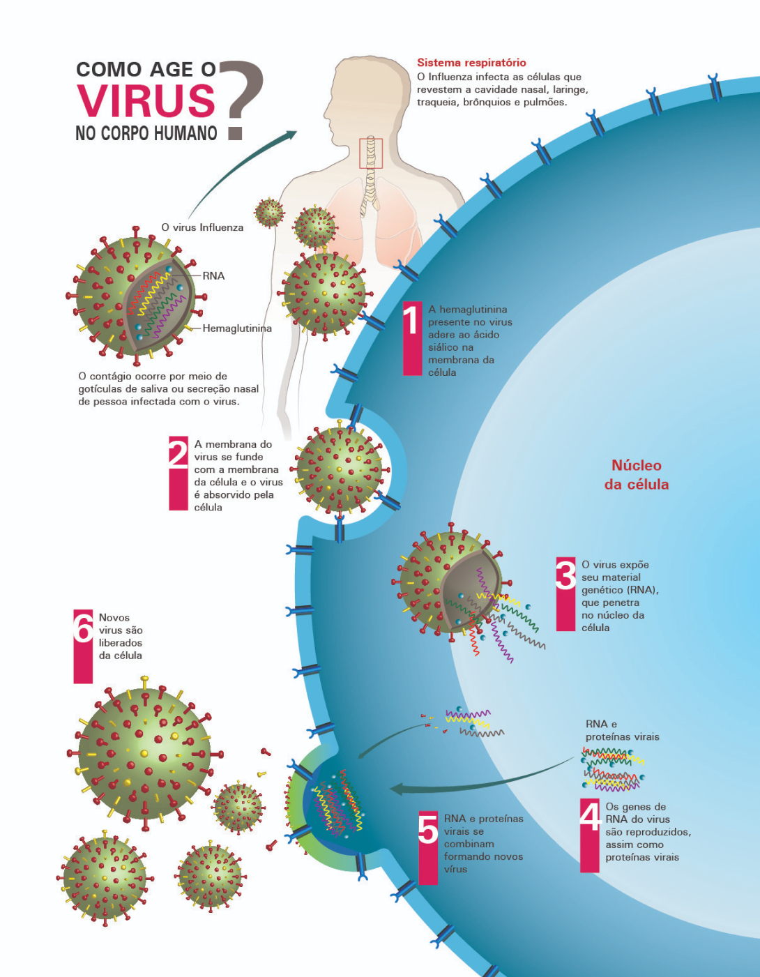Exemplo de infográfico estático 3